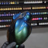 Краска хамелеон Green-Blue-Ultramarine