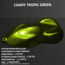 Комплект кэнди краски на спортбайк TROPIC GREEN