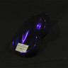 Краска хамелеон  BLUE VIOLET BROWN